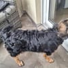 Kleine Paula sucht Familie
