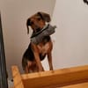 freundliche ältere Luna sucht ...