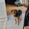 freundliche ältere Luna sucht ...