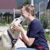 Lina sucht ihr Für-immer-Zuhause