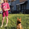 Teffie, 2 Jahre alt sucht ein Zuhause