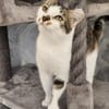 LILLY - will endlich geliebt werden!