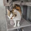 LILLY - will endlich geliebt werden!