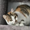 LILLY - will endlich geliebt werden!