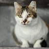 LILLY - will endlich geliebt werden!