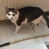 Jasper, ich suche mein Zuhause