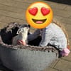 Die sensile Püppi sucht eine Familie !