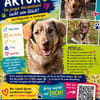 ARTUR, Mix, geb. 09/2024