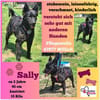 💕Sally💕 sucht ihre Familie