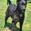 💕Sally💕 sucht ihre Familie