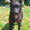 💕Sally💕 sucht ihre Familie