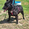 💕Sally💕 sucht ihre Familie