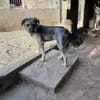 SAMBA (Martina)