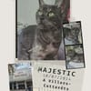 majestic