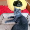 Mara & Maia Dreamteam sucht Familie