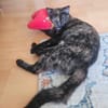 Mara & Maia Dreamteam sucht Familie