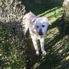 DIAMOND sucht sein Singlekörbchen