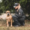 Maison - Boxerjunge möchte ankommen