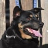 MARTY
