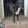 Joschi sucht seine Familie für immer