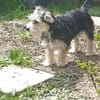 Sweety  in 59872 Meschede