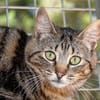 Zuckersüße Sugar sucht Happy Home