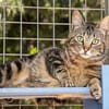 Zuckersüße Sugar sucht Happy Home
