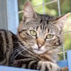 Zuckersüße Sugar sucht Happy Home