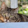 Zuckersüße Sugar sucht Happy Home