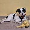 Skyla sucht ihre Herzensmenschen