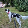 Skyla sucht ihre Herzensmenschen