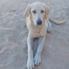 Buba sucht engen Familienanschluss