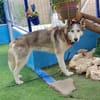 ARYA-WARTET AUF IHR HAPPY END