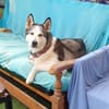 ARYA-WARTET AUF IHR HAPPY END