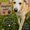 Miky sucht sein Zuhause
