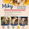 Miky sucht sein Zuhause