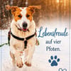 OTIS  EIN HERZ AUF VIER PFOTEN SUCHT SE