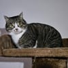 KIWI - geb. ca. 05/2021