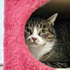 KIWI - geb. ca. 05/2021