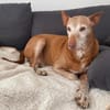 Zutraulicher Zeta1 sucht seine Familie