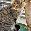 Einzelprinzessin Flia sucht ihre Familie
