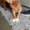 JOEY 💙 möchte einfach Spass haben
