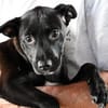 Maria sucht eigene Familie
