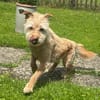 TEO SUCHT KUSCHELPLATZ