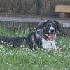 Amea sucht ihre Familie