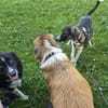 Amea sucht ihre Familie
