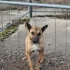 Creo sucht sein Traumzuhause