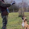 Creo sucht sein Traumzuhause