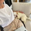 Duke sucht sein Für-immer-Zuhause
