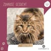 Katze Greta sucht Dich zum kuscheln